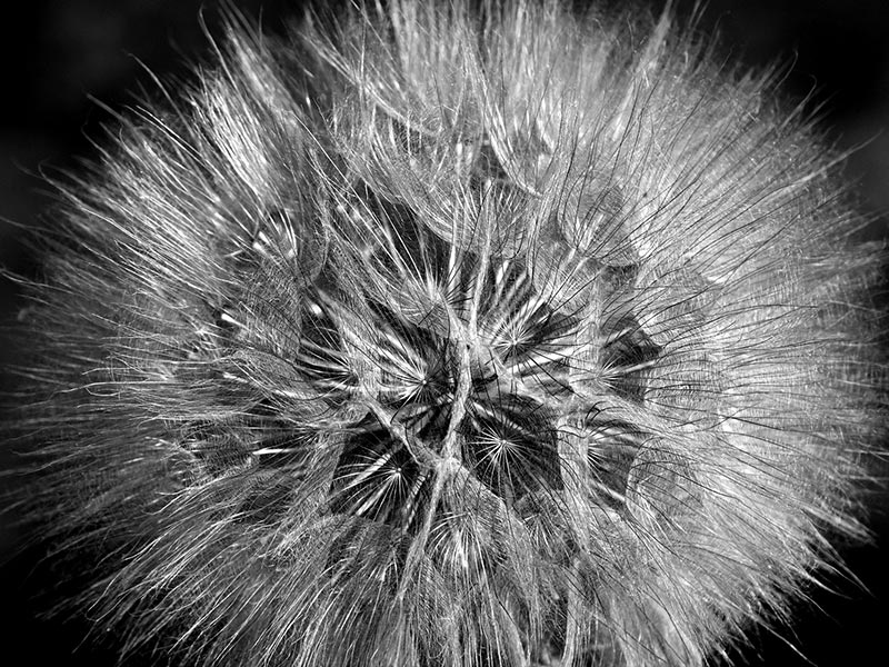 Westnetz: Redispatch 2.0 weiterführende Informationen