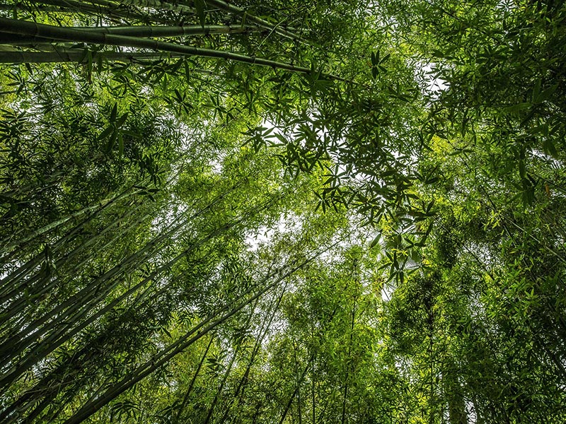 Redispatch 2.0: Neuregelungen in § 14 Abs. 1b EnWG